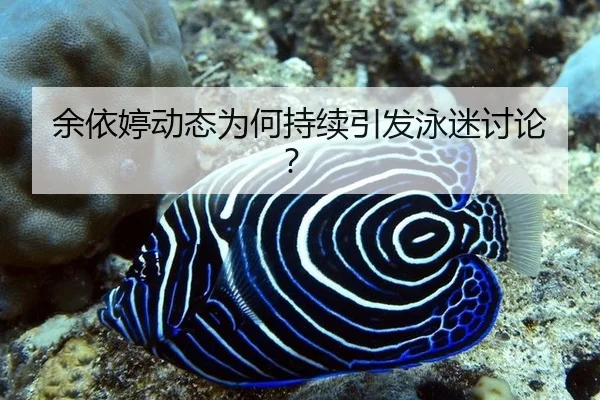 余依婷动态为何持续引发泳迷讨论？